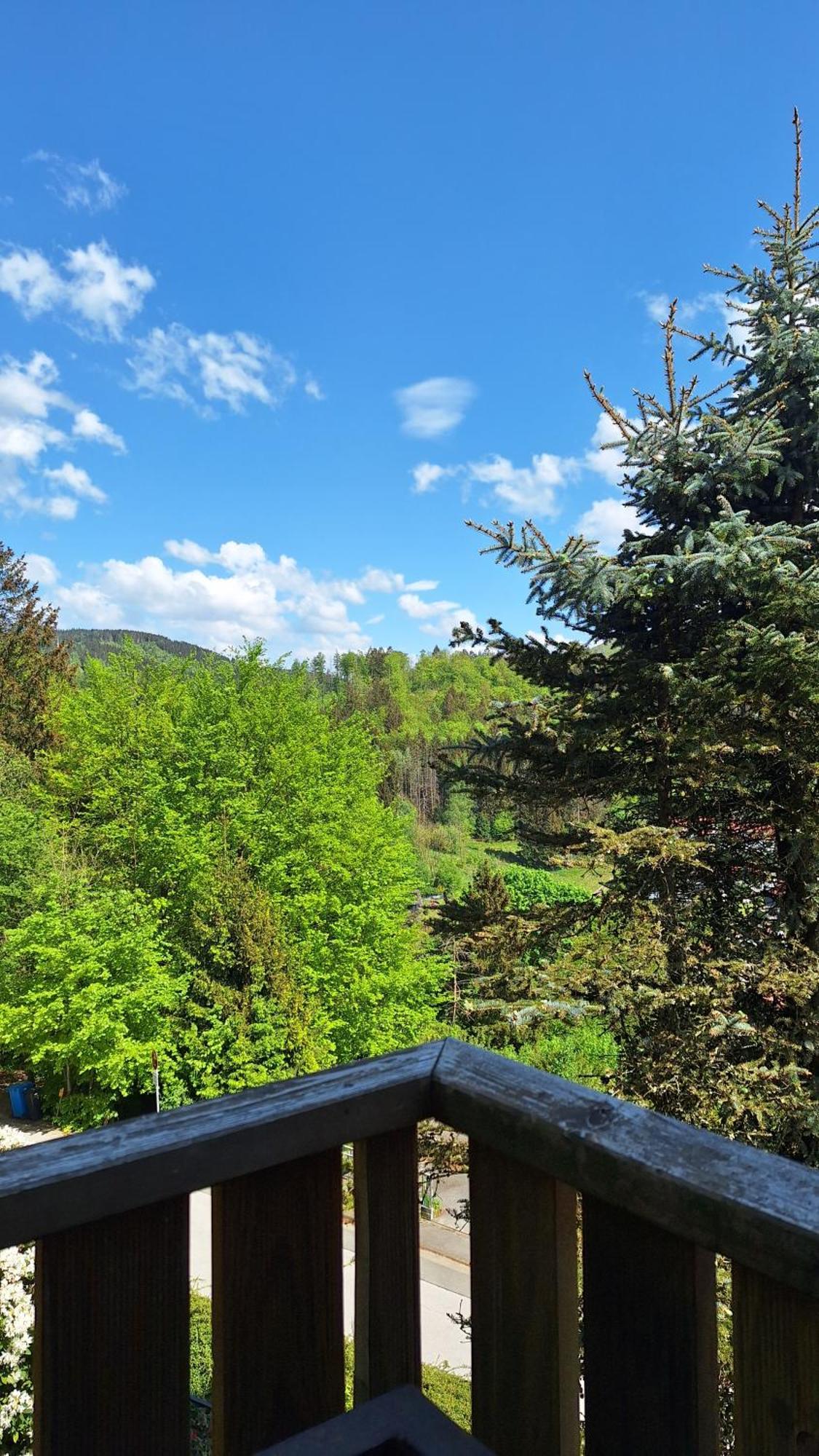 Haus Westharz Goslar Bad Grund Exterior foto